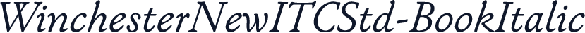 WinchesterNewITCStd-BookItalic