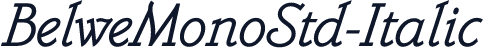 BelweMonoStd-Italic