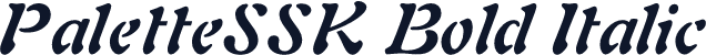 PaletteSSK Bold Italic