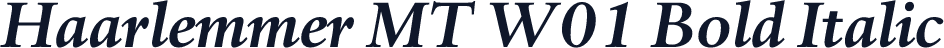 Haarlemmer MT W01 Bold Italic