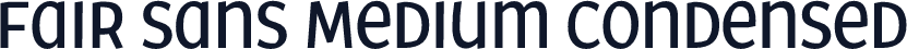 ☞Fair Sans Medium Condensed