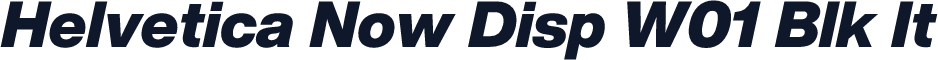 Helvetica Now Disp W01 Blk It