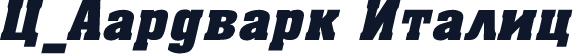C_Aardvark Italic