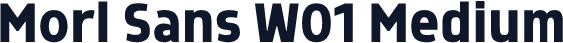 Morl Sans W01 Medium