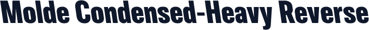 Molde Condensed-Heavy Reverse