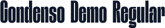Condenso Demo Regular