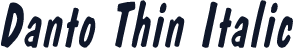 Danto Thin Italic