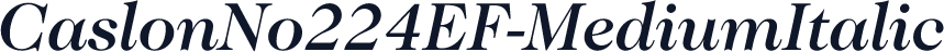 CaslonNo224EF-MediumItalic