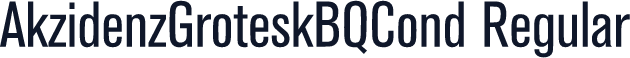 AkzidenzGroteskBQCond Regular