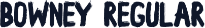 Bowney Regular