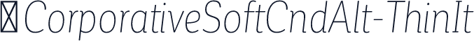 ☞CorporativeSoftCndAlt-ThinIt
