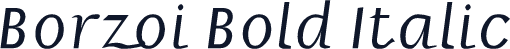 Borzoi Bold Italic