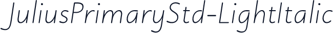 JuliusPrimaryStd-LightItalic