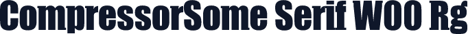 CompressorSome Serif W00 Rg