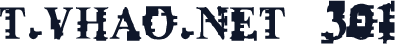 t.vhao.net 301