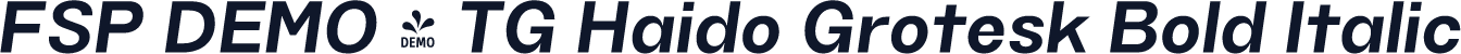 FSP DEMO - TG Haido Grotesk Bold Italic