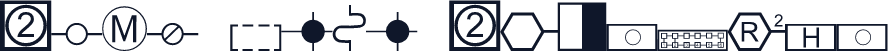 ESRI AMFM Electric