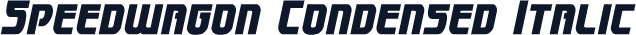 Speedwagon Condensed Italic