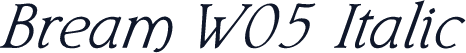 Bream W05 Italic