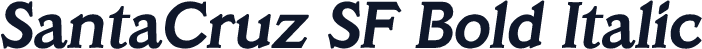 SantaCruz SF Bold Italic
