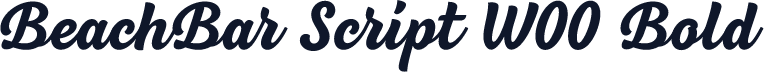 BeachBar Script W00 Bold