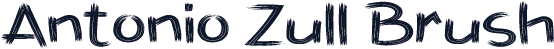 Antonio Zull Brush