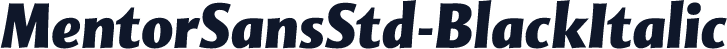 MentorSansStd-BlackItalic