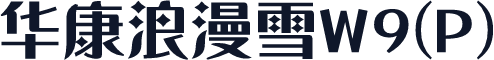 华康浪漫雪W9(P)