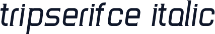 TripSerifCE Italic