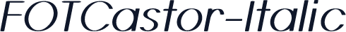 FOTCastor-Italic