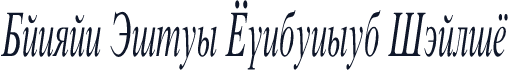 Danzan Times Condensed Italic