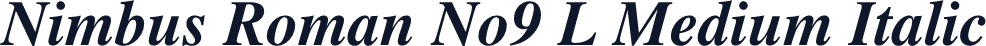 Nimbus Roman No9 L Medium Italic