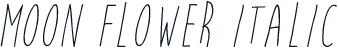 Moon Flower Italic