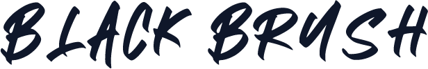 BLACK BRUSH