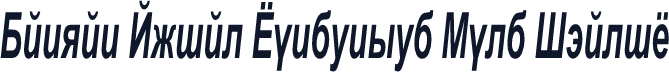 Danzan Arial Condensed Bold Italic