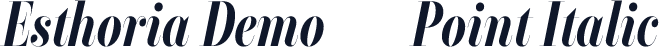 Esthoria Demo 72 Point Italic