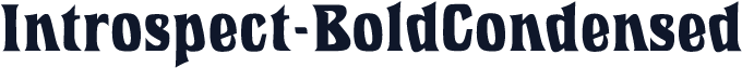 Introspect-BoldCondensed