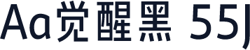 Aa觉醒黑 55J