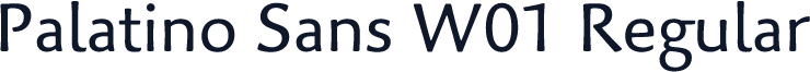 Palatino Sans W01 Regular