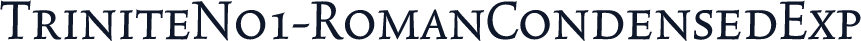 TriniteNo1-RomanCondensedExp