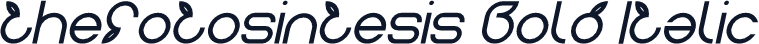 thefotosintesis Bold Italic