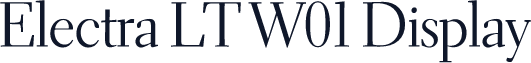 Electra LT W01 Display