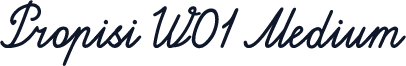 Propisi W01 Medium