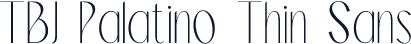 TBJ Palatino Thin Sans