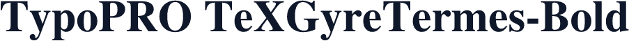 TypoPRO TeXGyreTermes-Bold