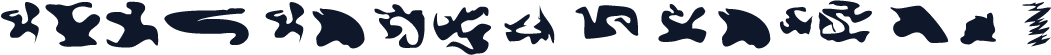 CISF Camouflage Kit
