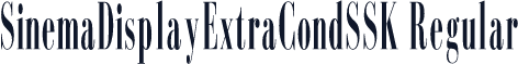SinemaDisplayExtraCondSSK Regular