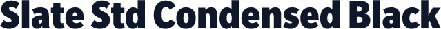 Slate Std Condensed Black