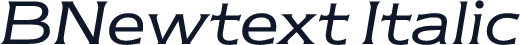 BNewtext Italic