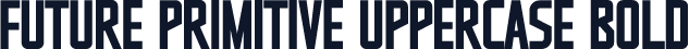 Future Primitive Uppercase Bold
